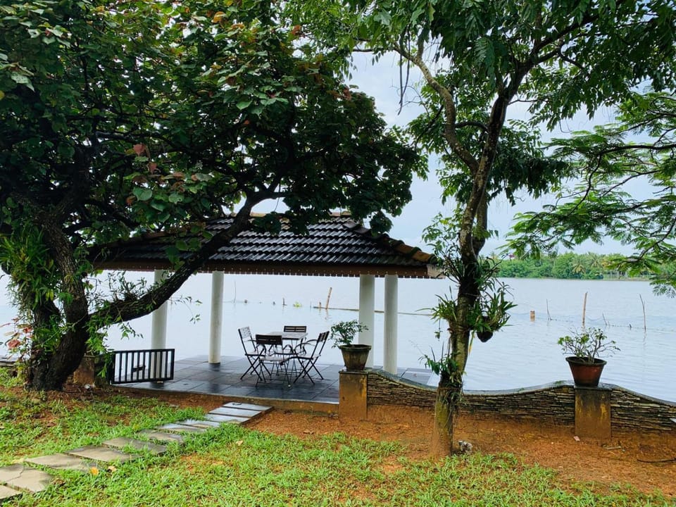 Lake view, River view