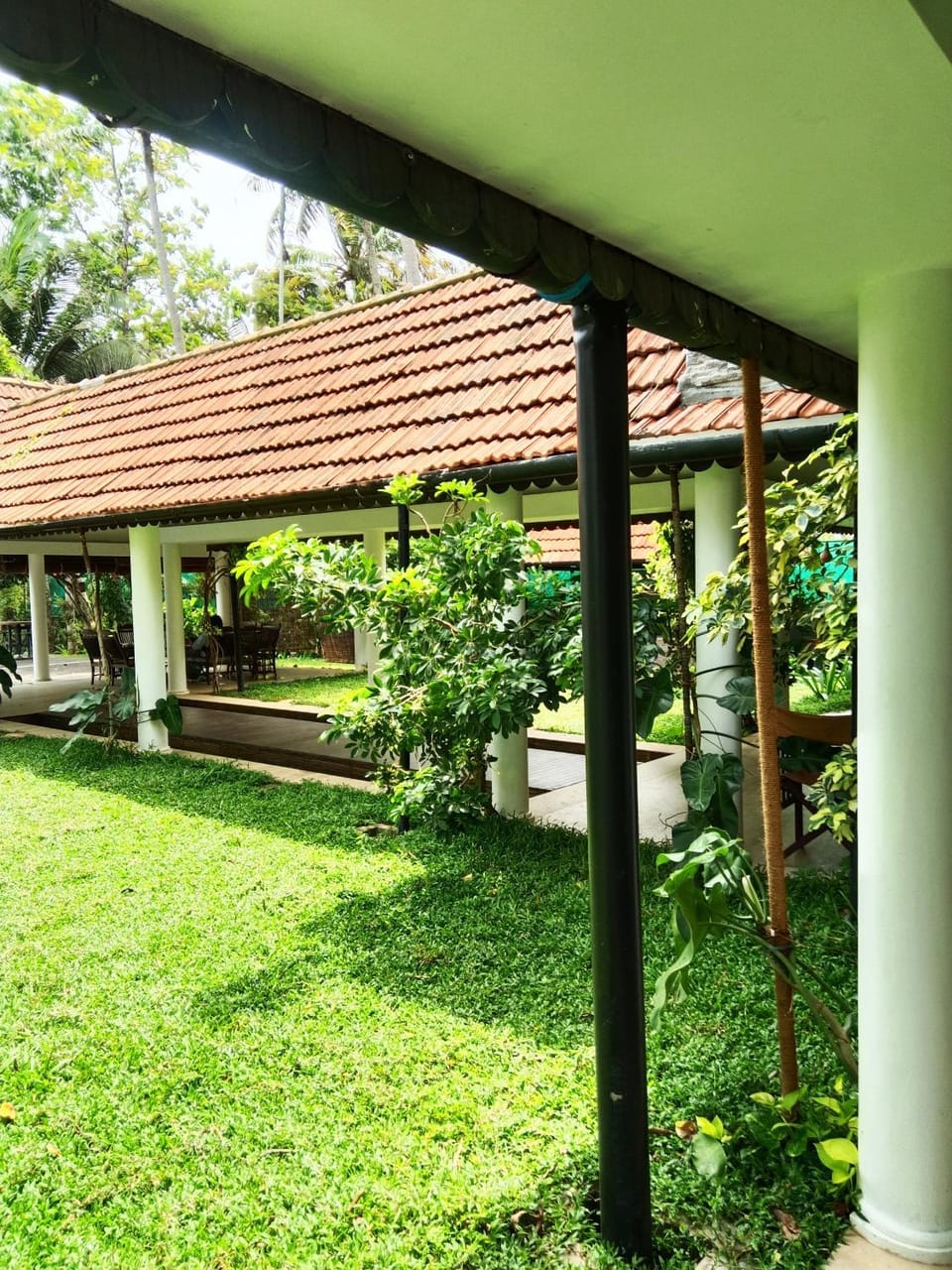 Garden view