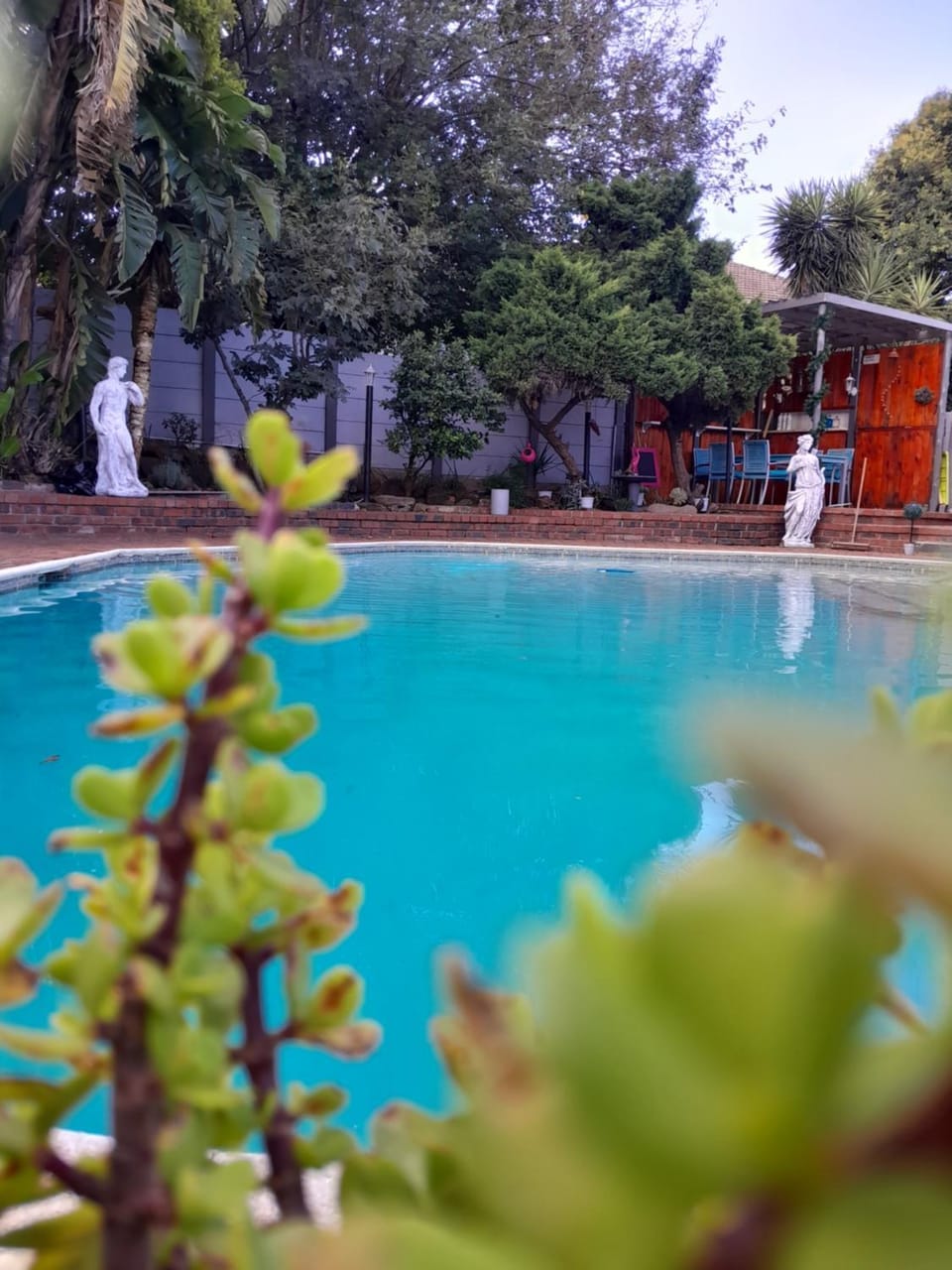 Pool view, Swimming pool