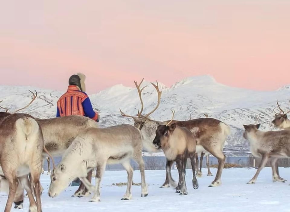 People, Natural landscape, Winter, Animals