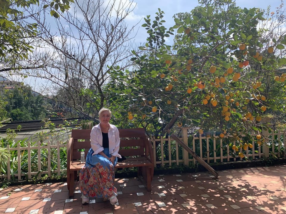 Garden, Guests, Garden view