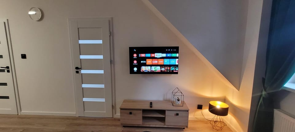 TV and multimedia