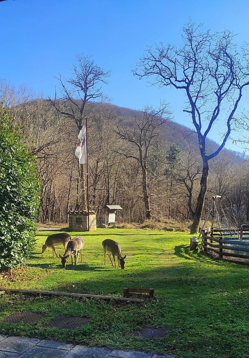 Day, Natural landscape, Animals, Mountain view