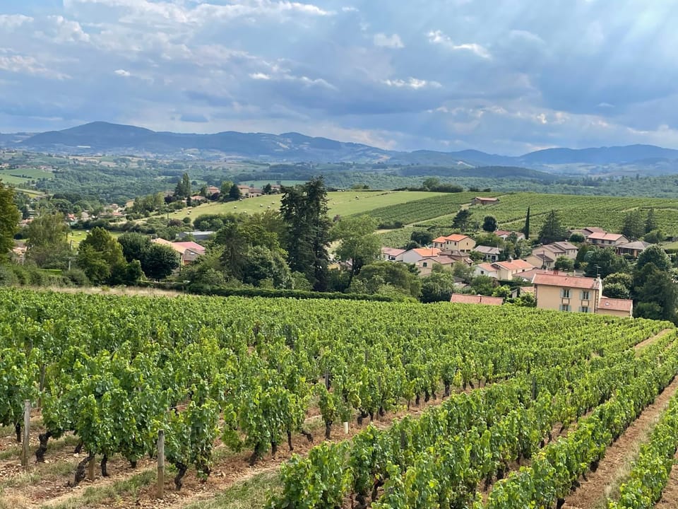 Nearby landmark, Natural landscape