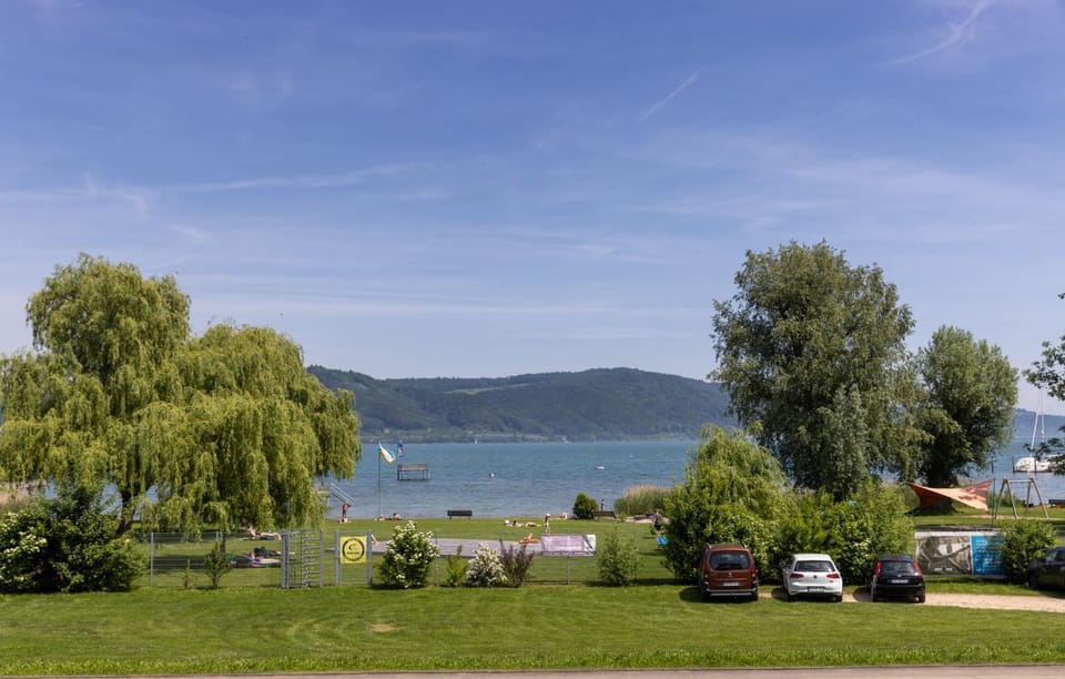 Lake view