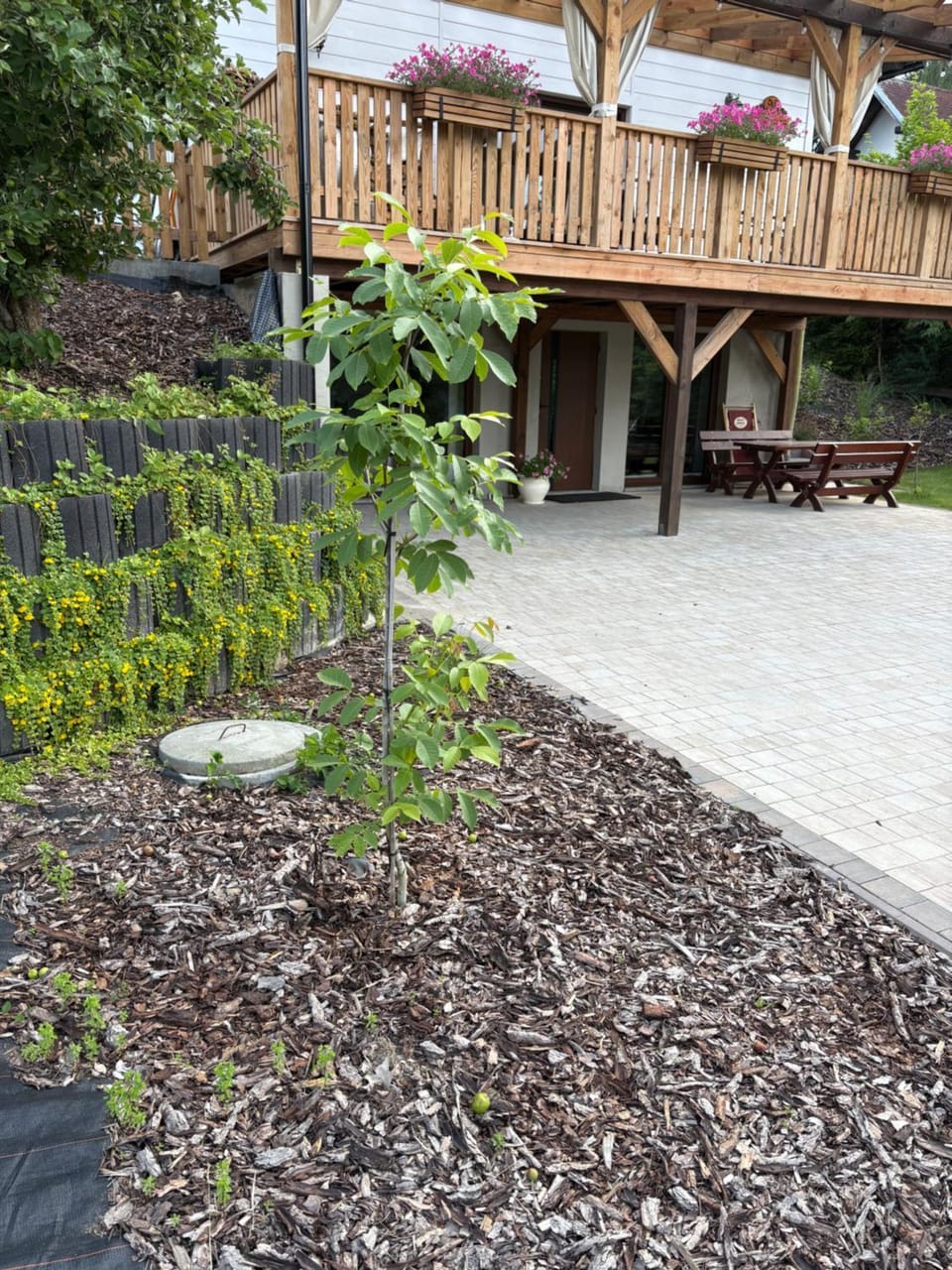Apartament Malinowe Wzgórze Apartment in Pomeranian Voivodeship
