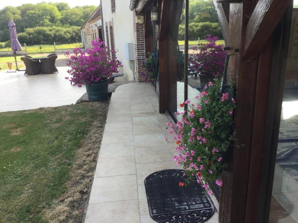 Garden view