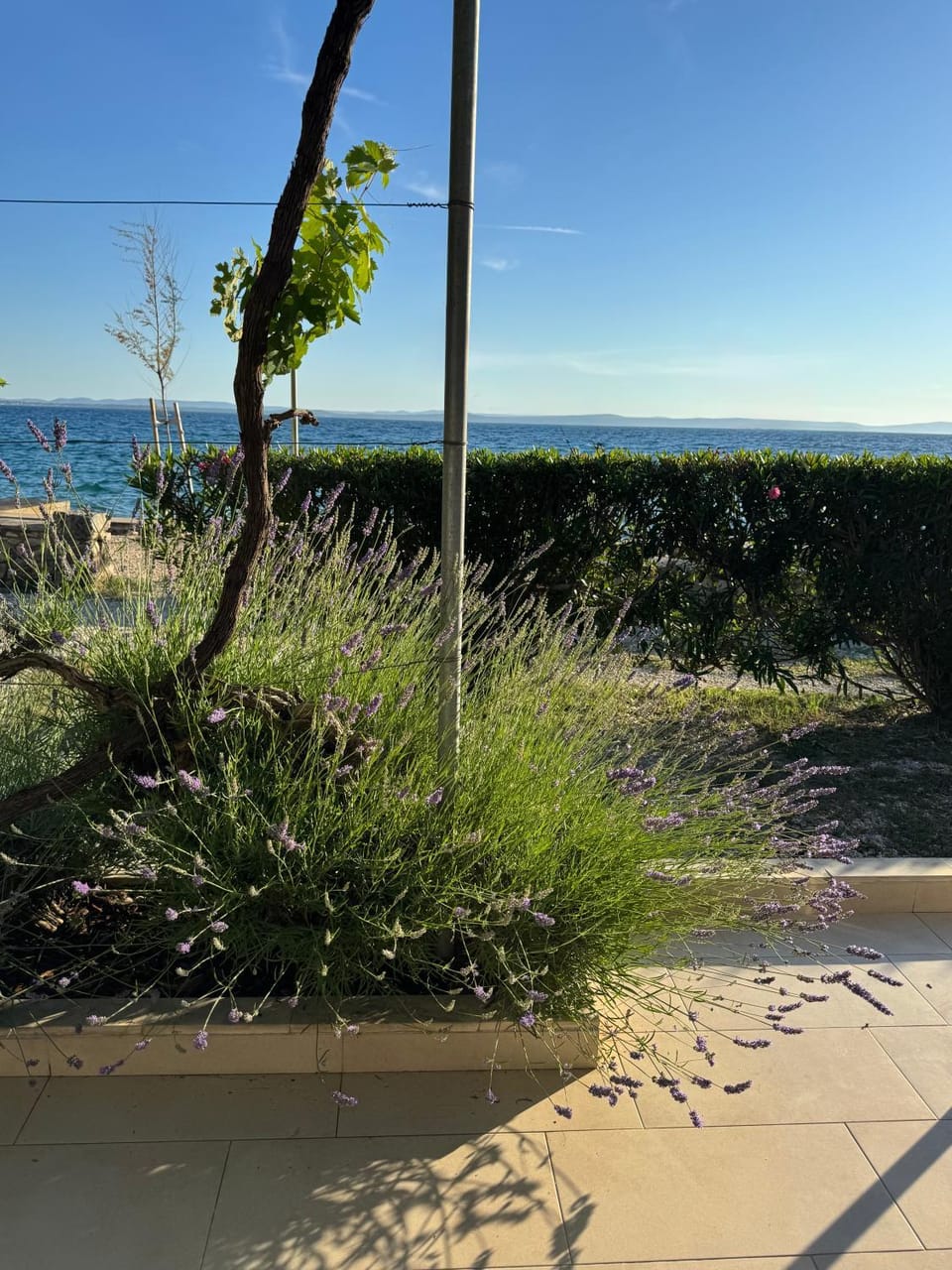 House Puntica - Apartment Puntica Apartment in Zadar County