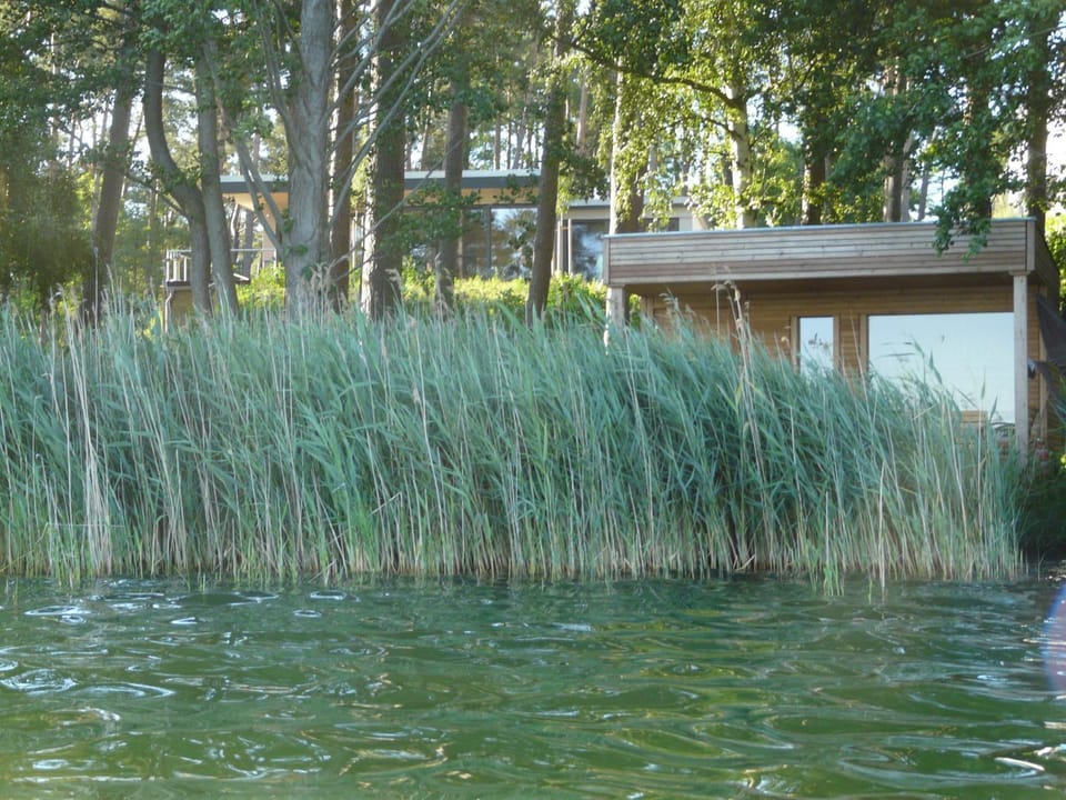 Sauna, Lake view