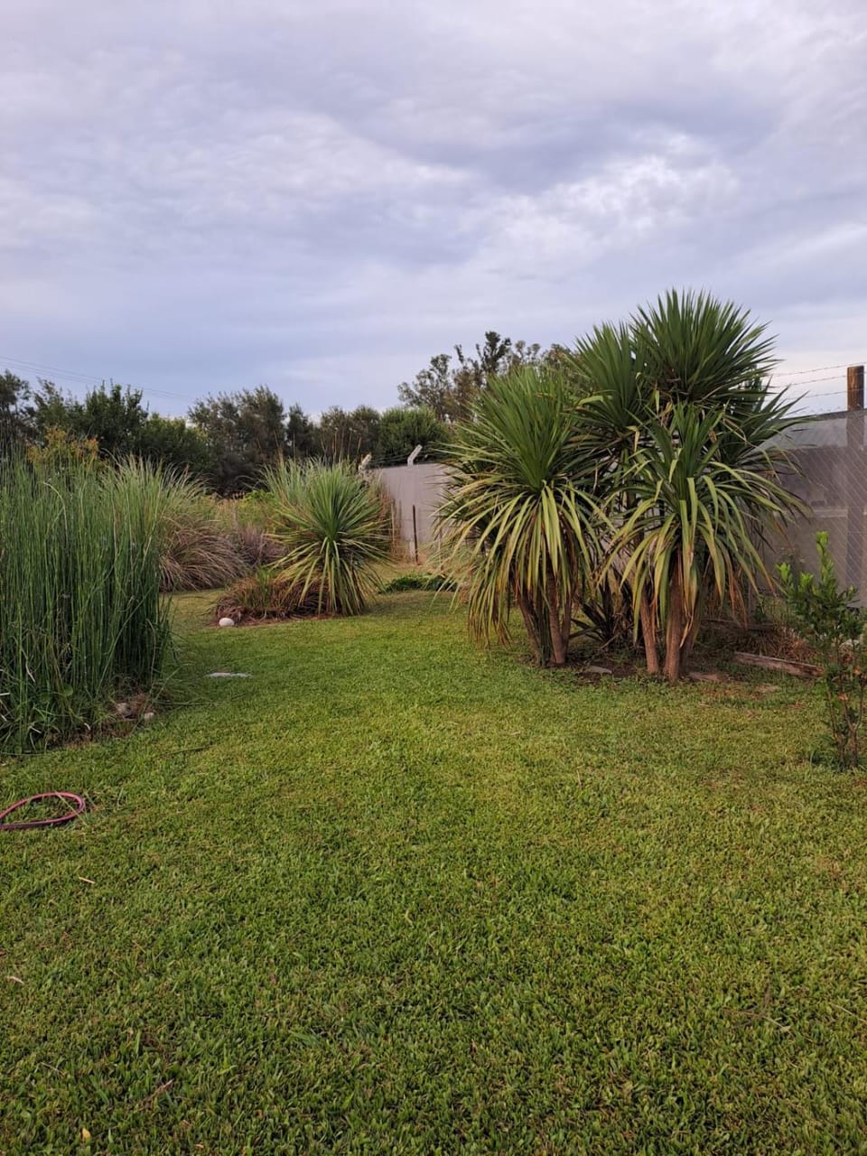 Natural landscape, Garden view