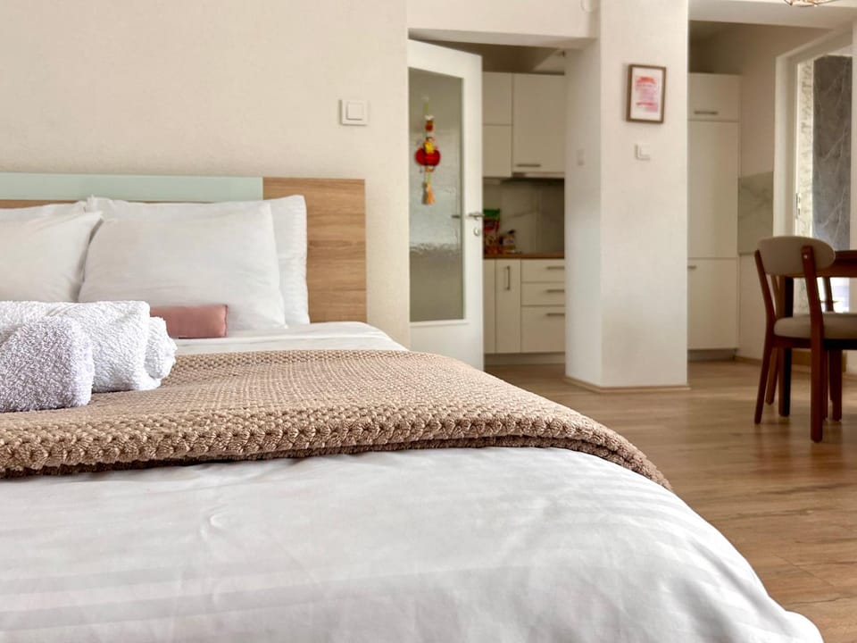 The Studio Apartment Apartment in Ohrid