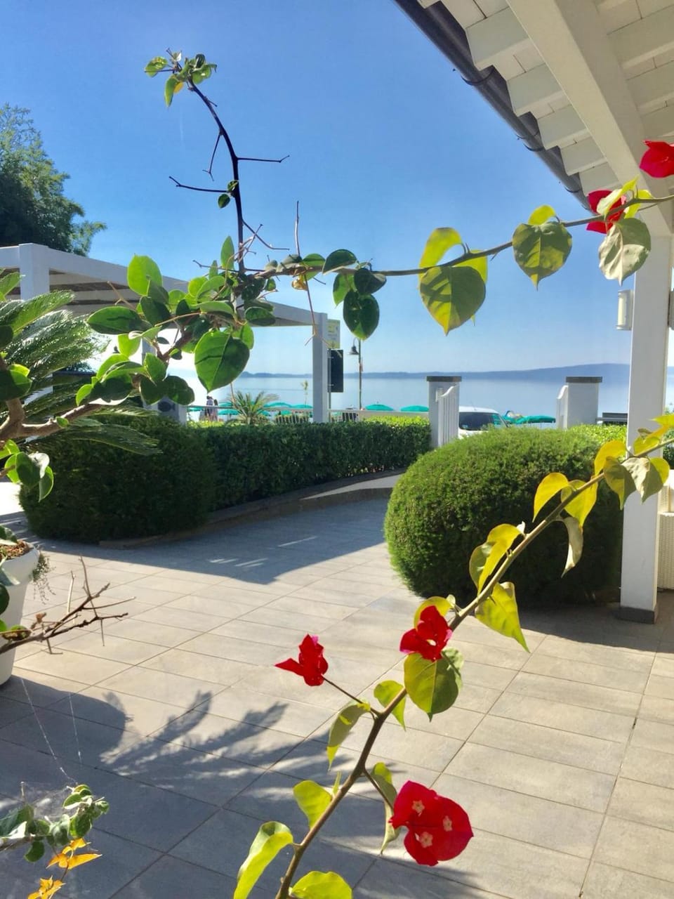 Skipper White Guest House Bed and Breakfast in Trevignano Romano
