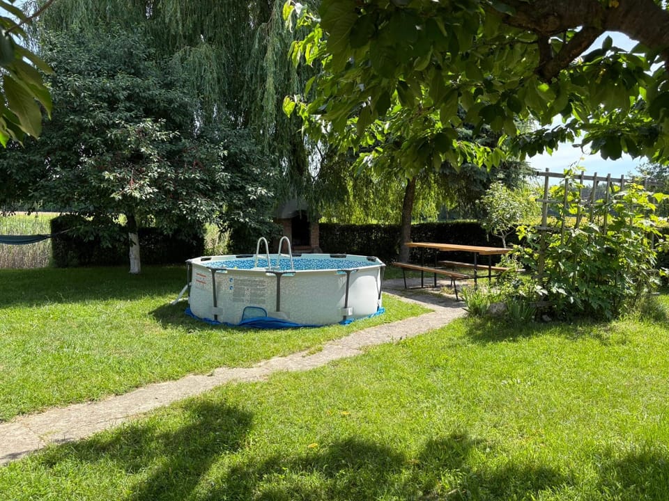 Garden, Garden view, Pool view, Swimming pool