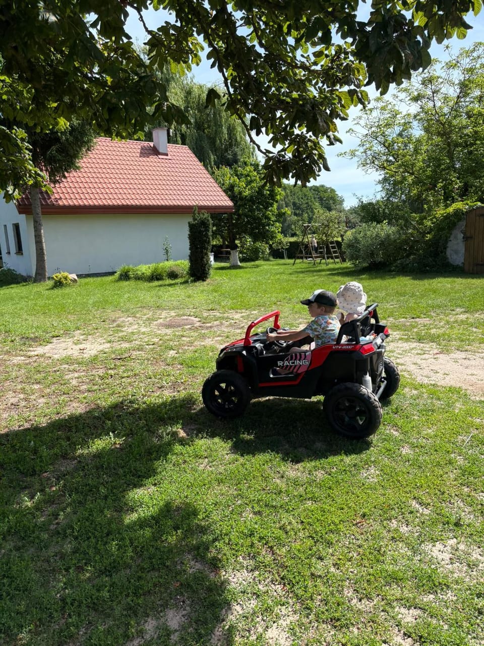 People, Natural landscape, Garden