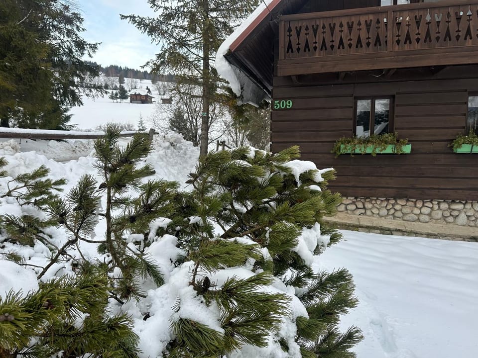 Property building, Natural landscape, Winter