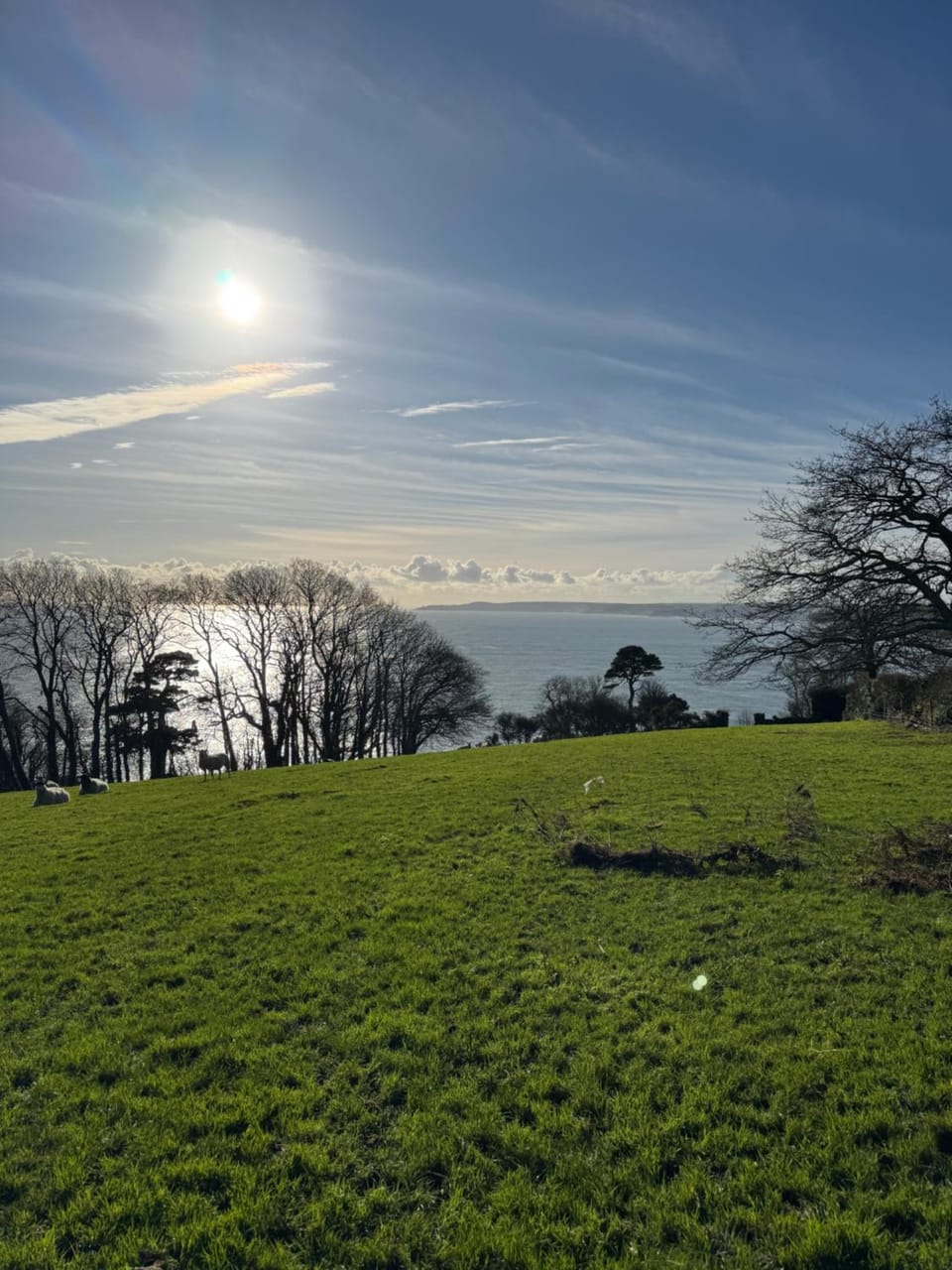 Spring, Day, Natural landscape, Sea view