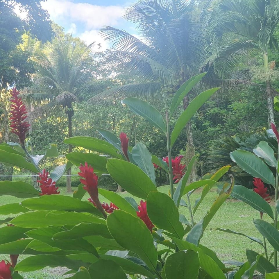 Pousada Sitio Ceu de Estrelas, Paraiso Cinematográfico!! House in Cachoeiras de Macacu