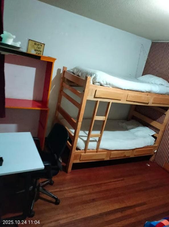 Bed, Photo of the whole room, Bedroom, bunk bed