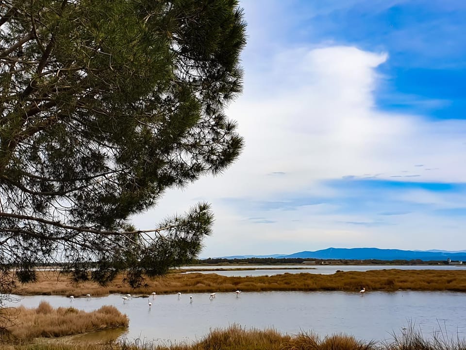 Natural landscape