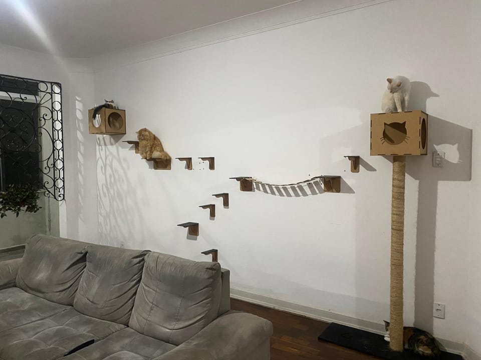 Living room, Pets