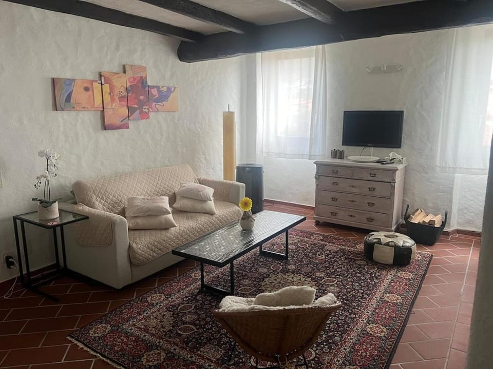 IL RUSTICO a Caslano - Offerta ultime date disponibili estate 2026! Apartment in Canton of Ticino