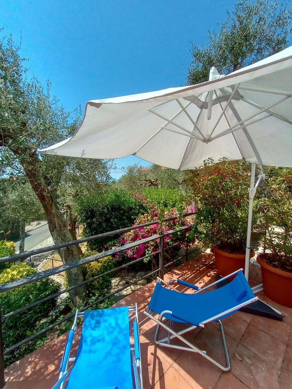 Balcony/Terrace, Garden view, sunbed