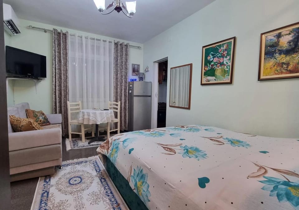 Bed, TV and multimedia, Living room, Photo of the whole room, Seating area, Dining area, Bedroom, air conditioner