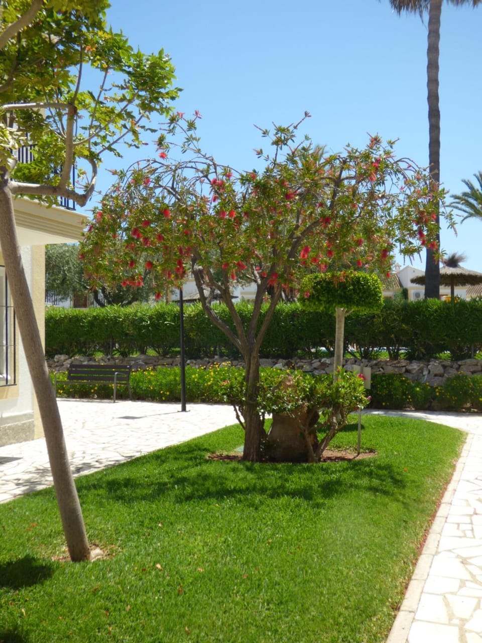 Garden, Garden view