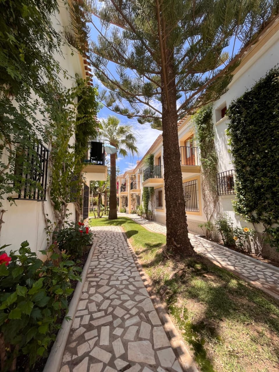 Property building, Garden, Garden view