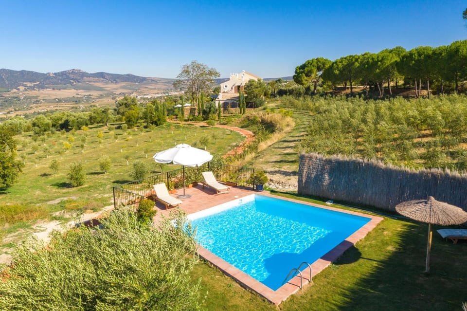 Property building, Living room, Swimming pool