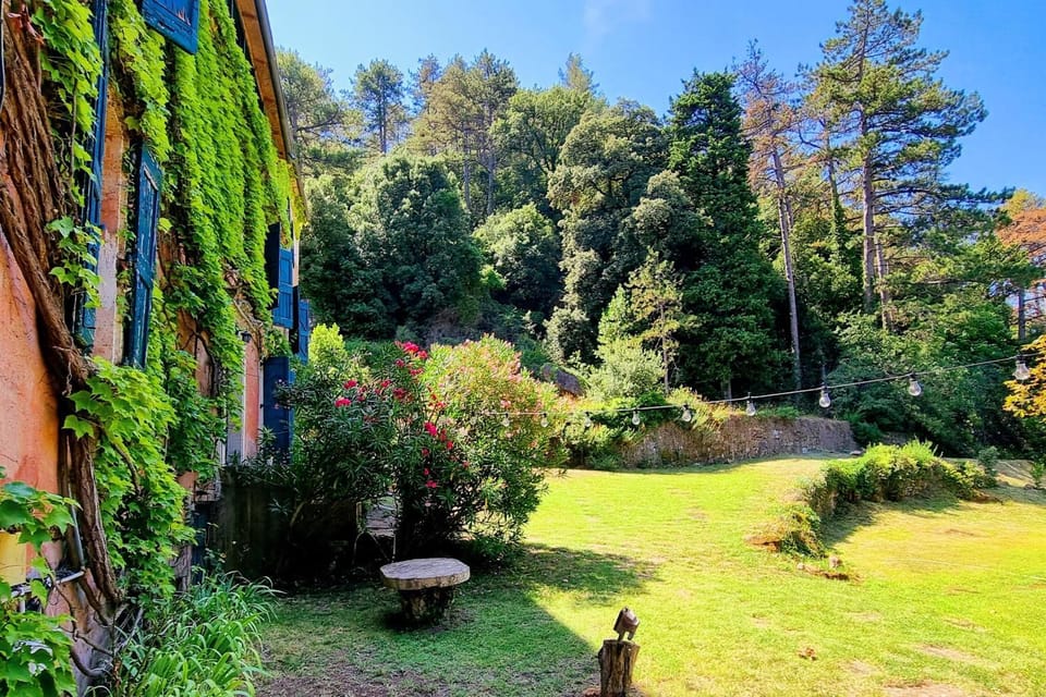 Grand Manoir avec piscine House in Occitanie