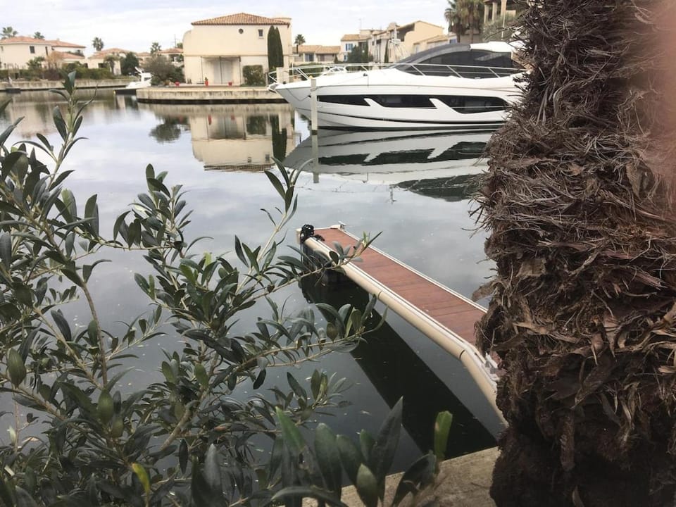 Lake view