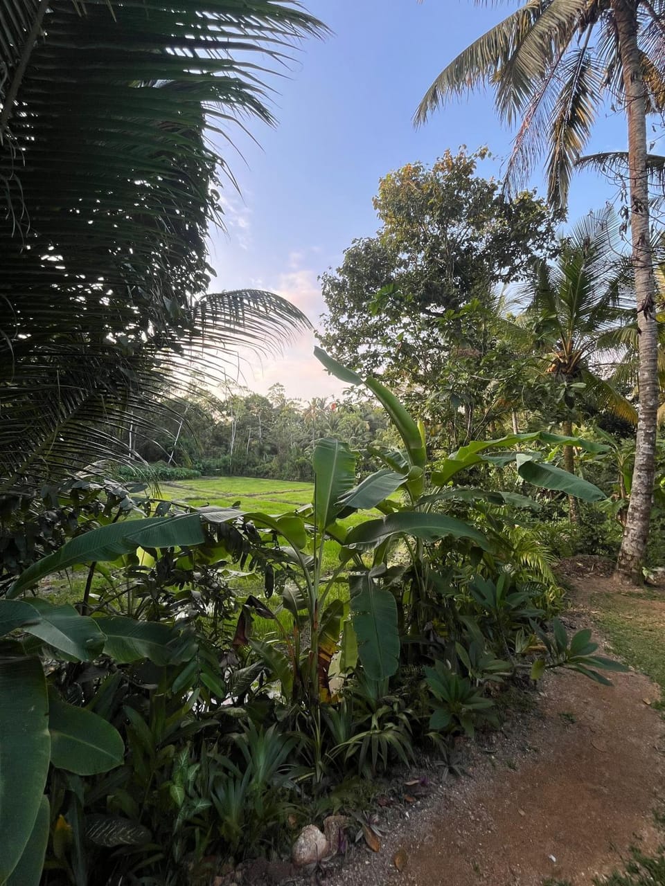 Scenery Vibes - Ahangama Country House in Ahangama