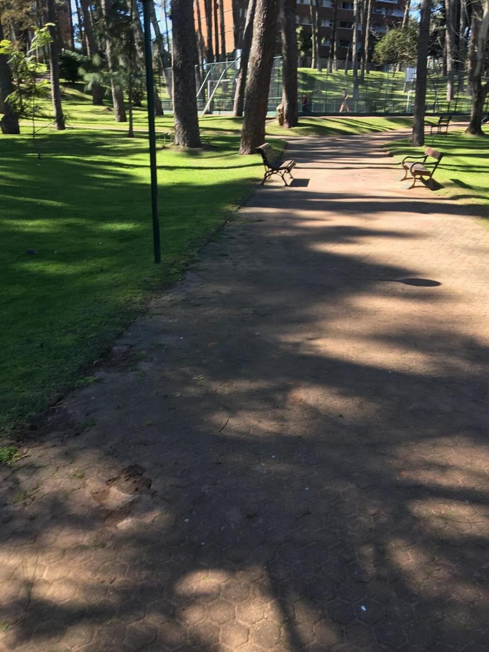 Garden, Garden