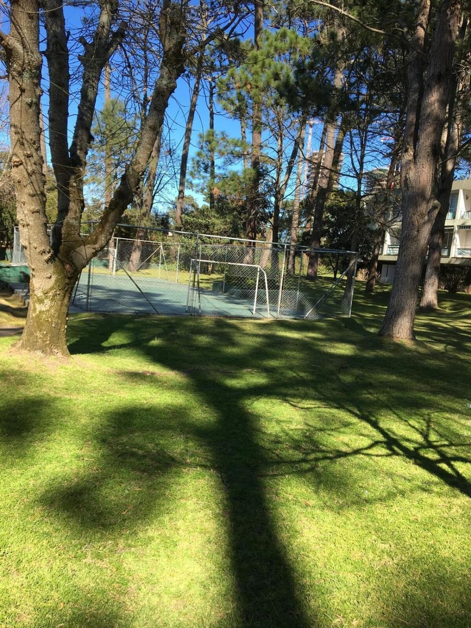 Garden, Garden