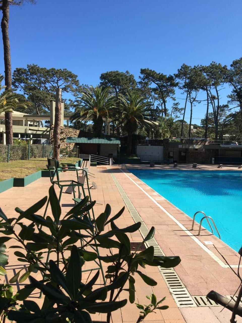 Swimming pool, Swimming pool