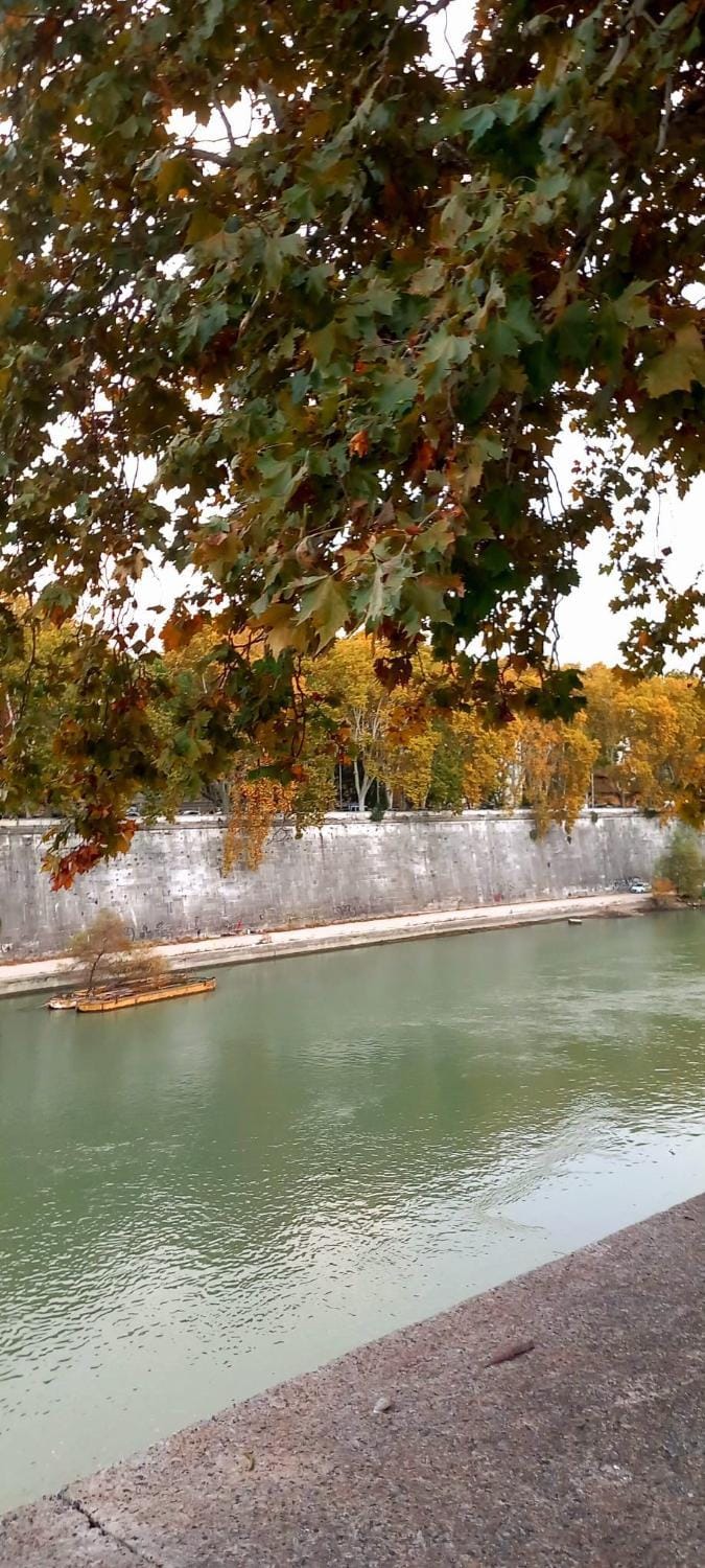 River view