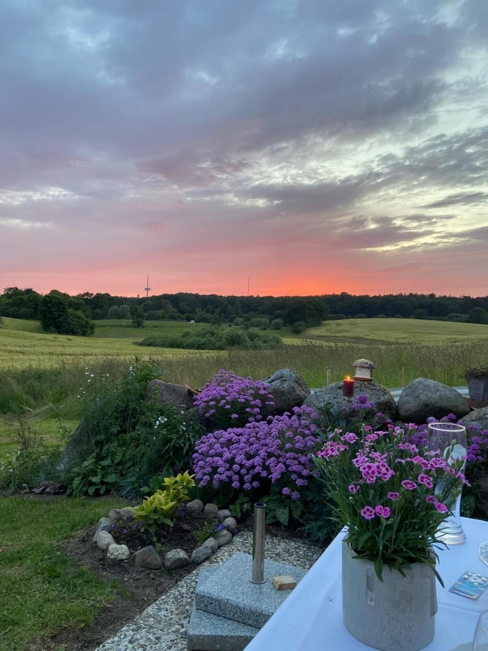 Natural landscape, Garden, Garden view, Sunset