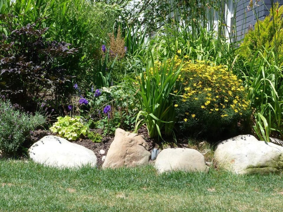 A Peaceful Oasis on Munjoy Hill - 3BR Cottage & Parking Country House in Portland