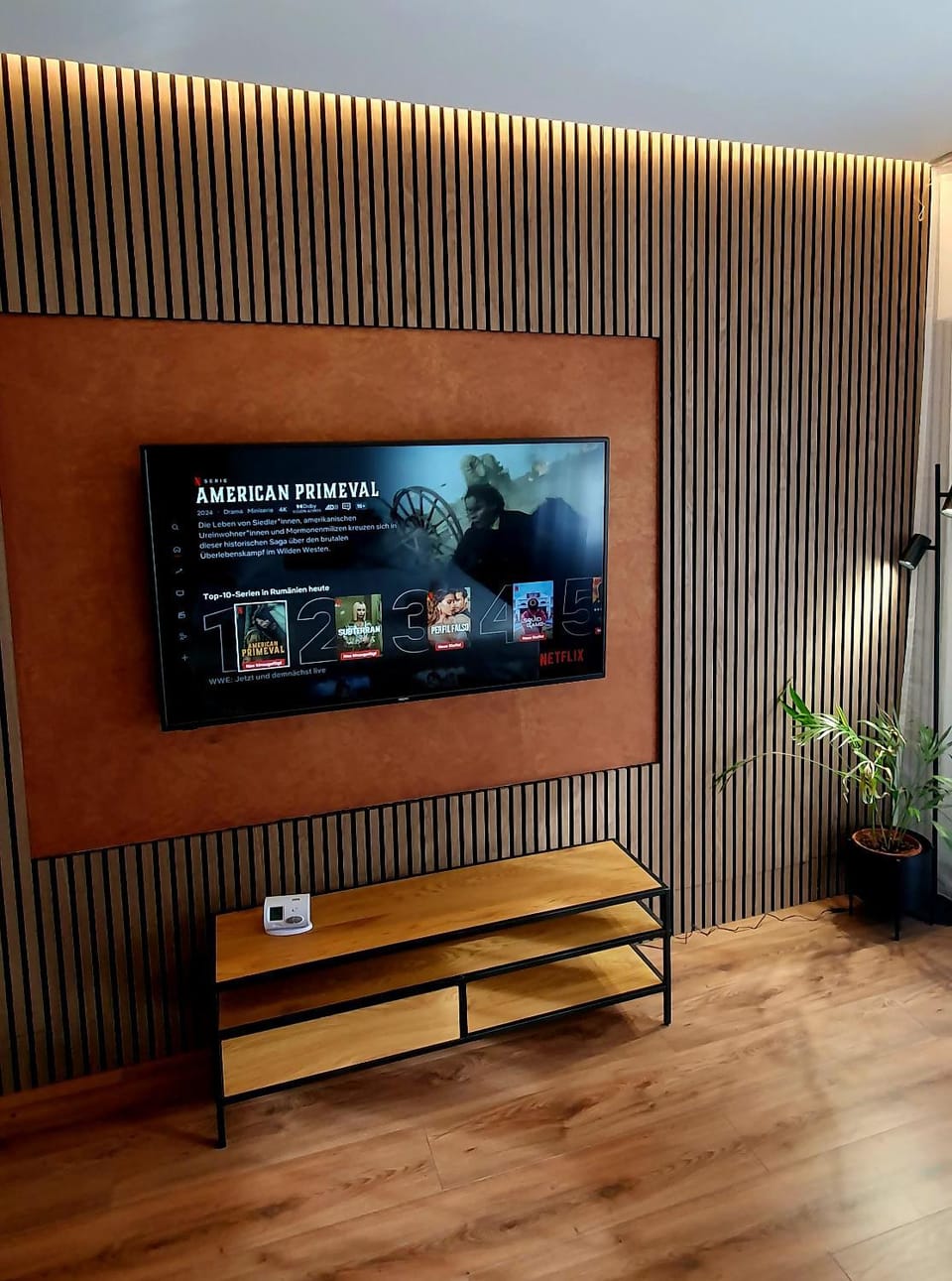 Central One Guesthouse Apartment in Timiș County