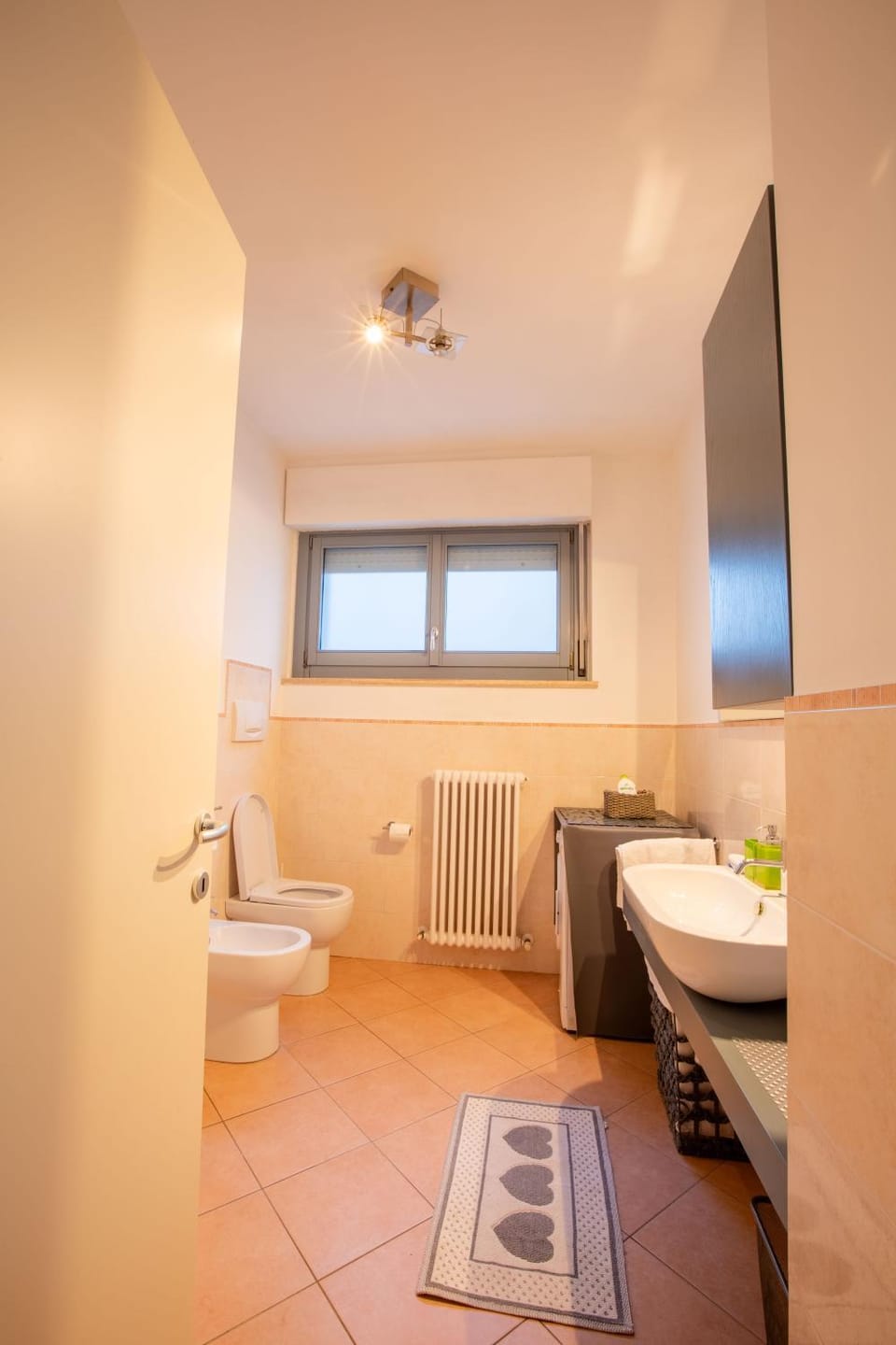 Bathroom, Living room