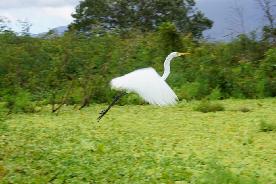 Hostal y Restaurante Rancho Merida Nature lodge in Rivas