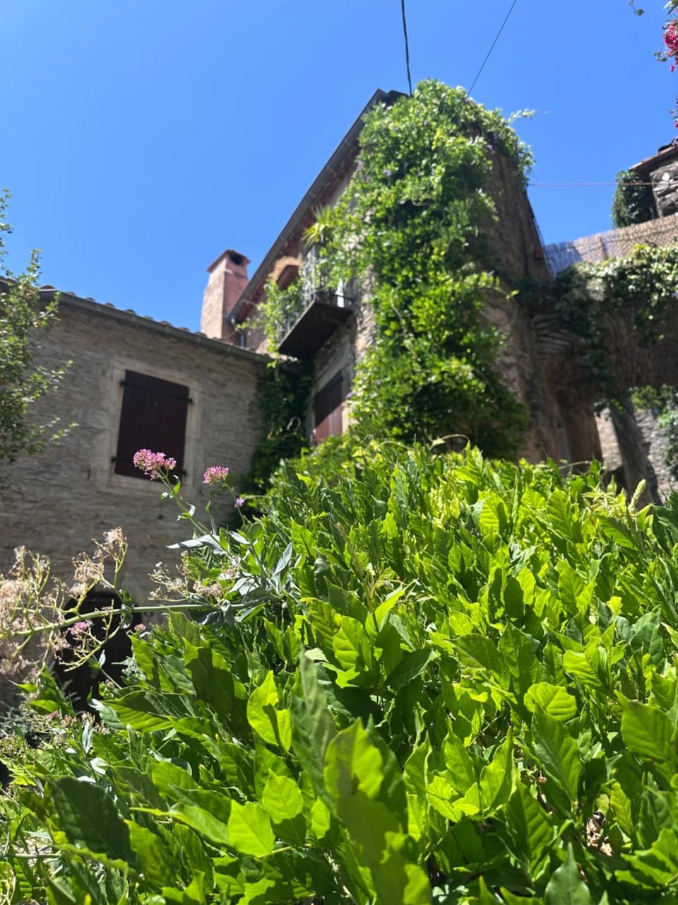 Ostal de la Croix Vieussan House in Occitanie