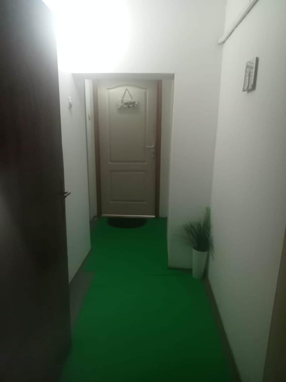 Small low cost Dorcol Apartment in Belgrade