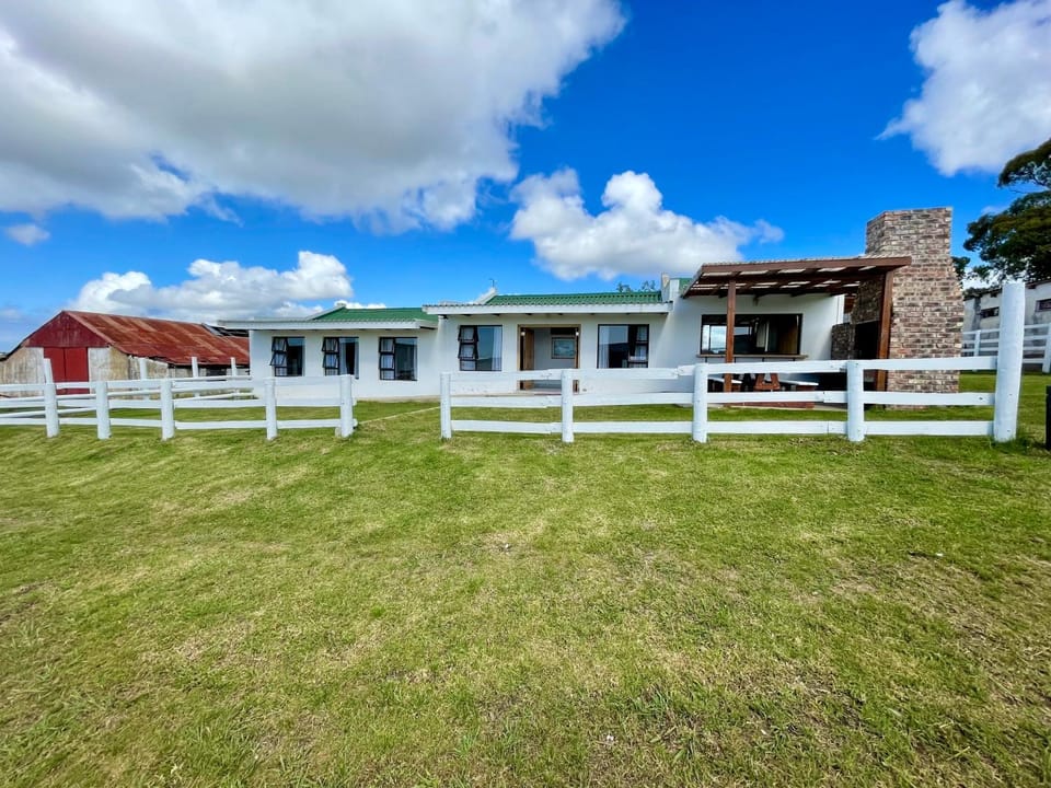 Property building, Garden, Garden view