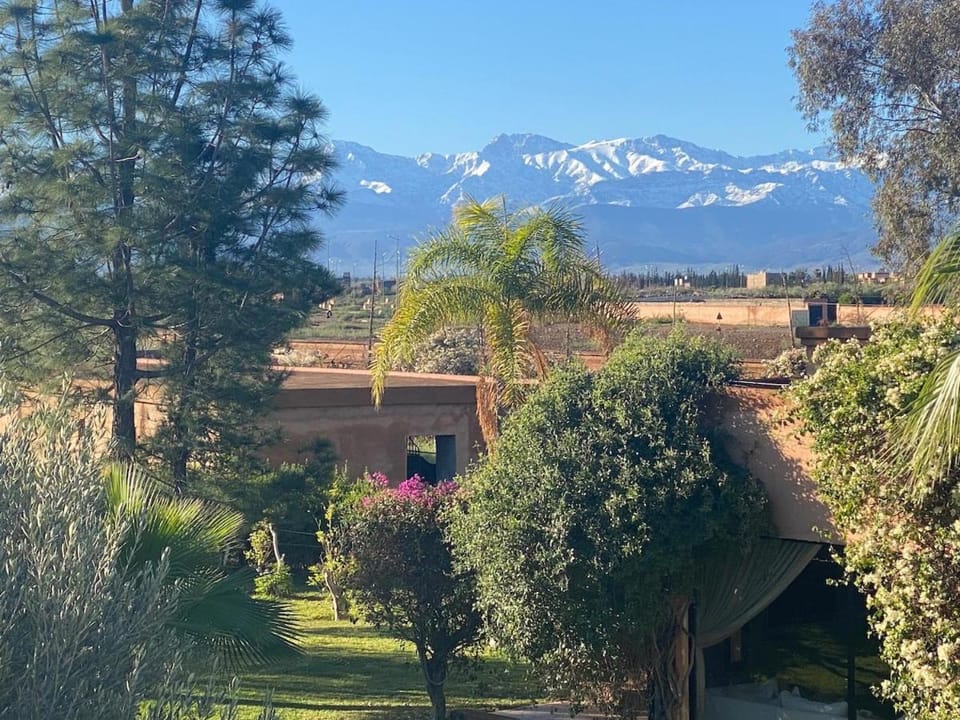 Natural landscape, Garden view, Mountain view