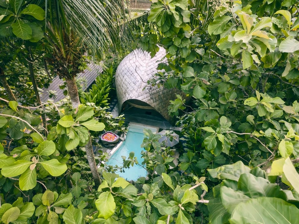 Garden, Swimming pool