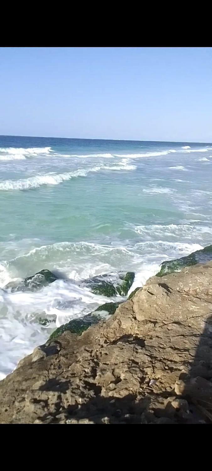 for calmness lovers and relax Apartment in Alexandria Governorate