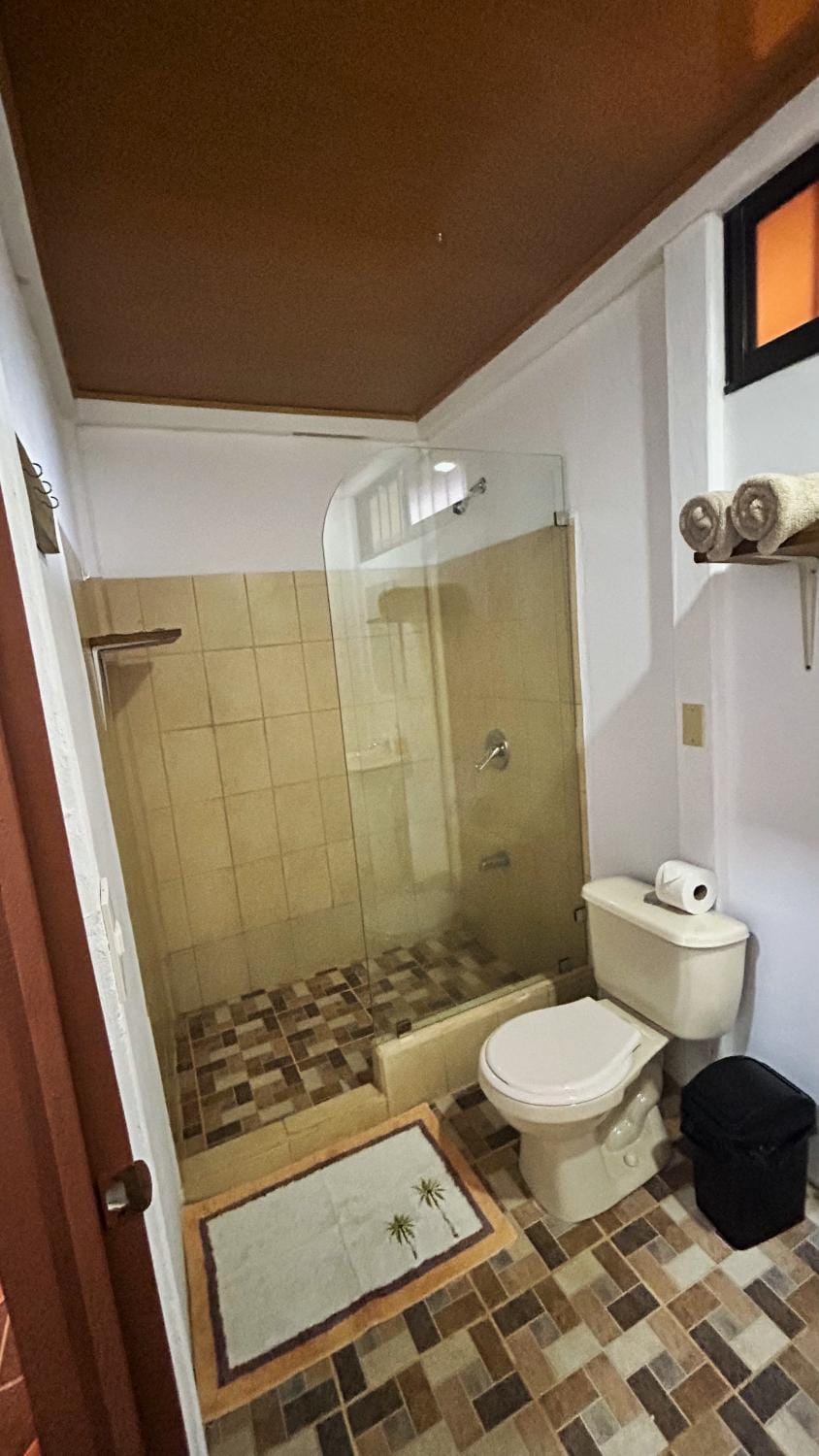Shower, Bathroom, towels