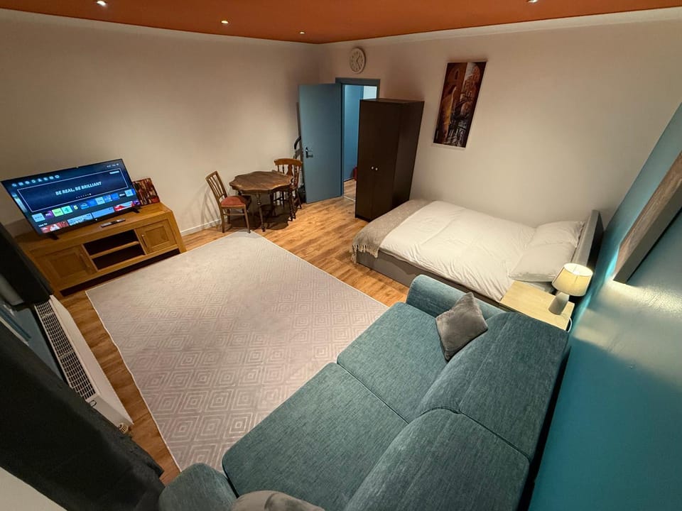 Bed, TV and multimedia, Living room, Photo of the whole room, Dining area, Bedroom, wardrobe